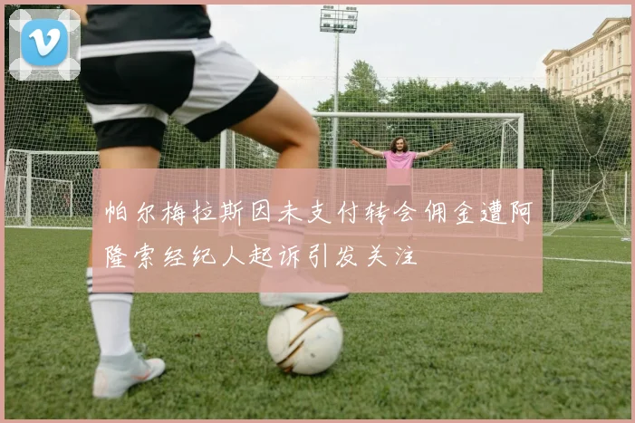 帕尔梅拉斯因未支付转会佣金遭阿隆索经纪人起诉引发关注